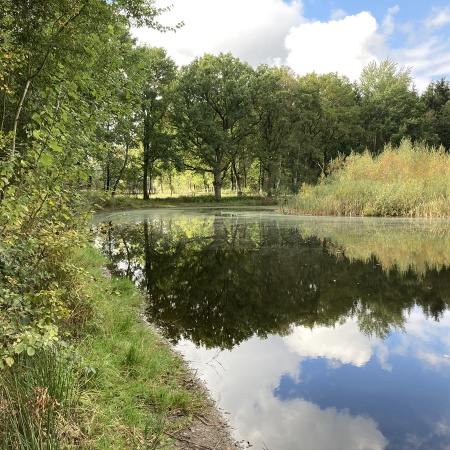 Größeres Bild ansehen