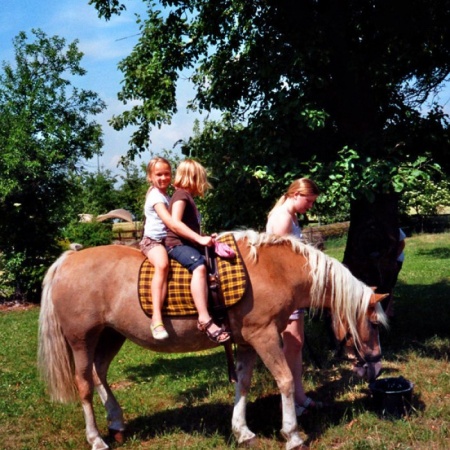 Größeres Bild ansehen