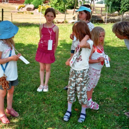 Größeres Bild ansehen