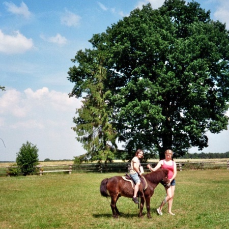 Größeres Bild ansehen