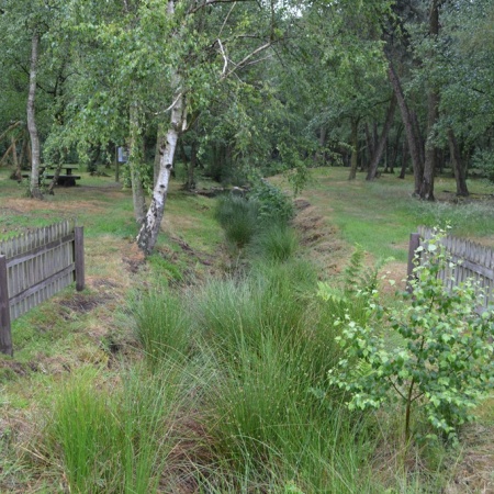 Größeres Bild ansehen