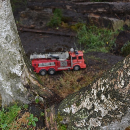 Größeres Bild ansehen