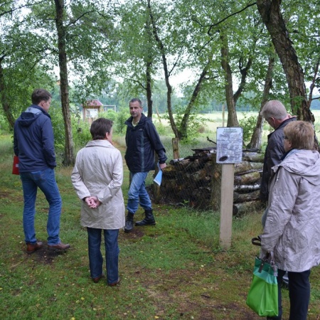 Größeres Bild ansehen