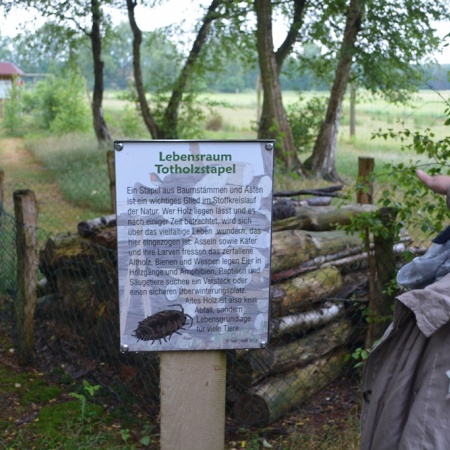 Größeres Bild ansehen