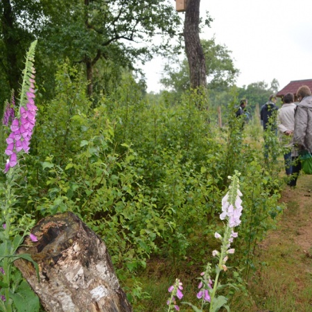 Größeres Bild ansehen