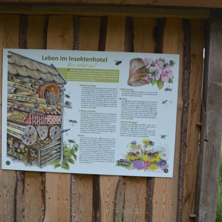 Größeres Bild ansehen