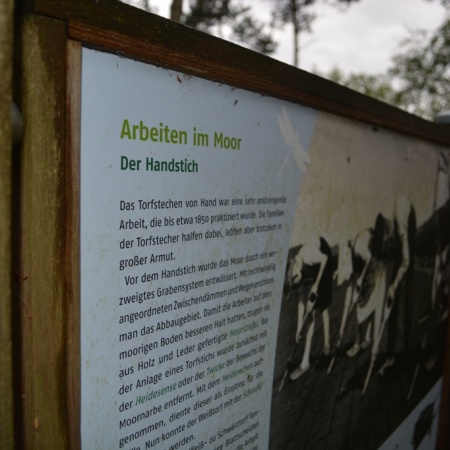 Größeres Bild ansehen