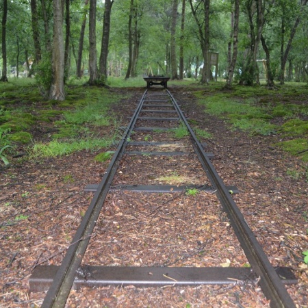 Größeres Bild ansehen