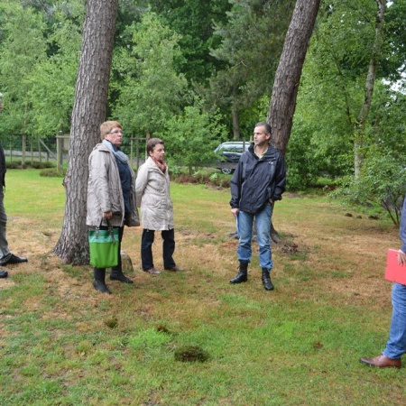 Größeres Bild ansehen