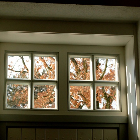 Größeres Bild ansehen