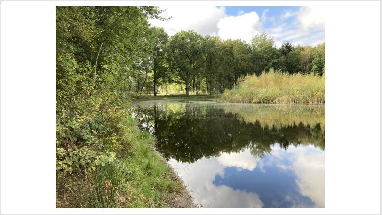 Impressionen der CDU-Herbsttour in der Lintelner Geest