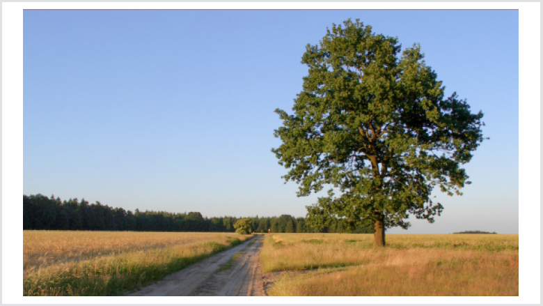 Kirchlinteln – Klimafreundliche Gemeinde